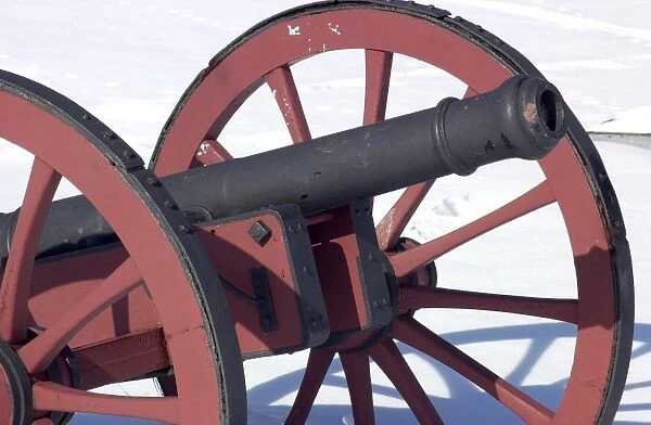 Revolutionary War cannon at Valley Forge