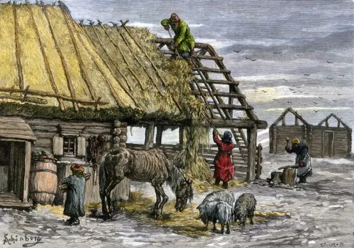 Framed Print : Russian serfs using thatch from their roofs to feed livestock during a famine Framed Print : Russian serfs using thatch from their roofs to feed livestock during a famine