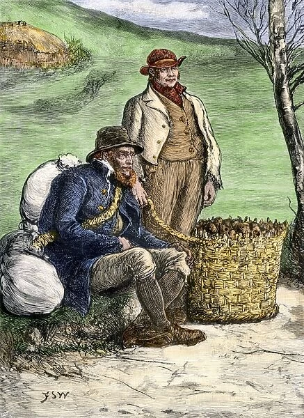 Seed potatoes carried to Ireland, 1800s