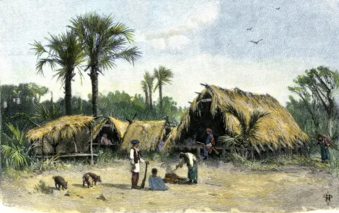 Framed Print : Seminole village of thatched shelters in the Everglades Framed Print : Seminole village of thatched shelters in the Everglades