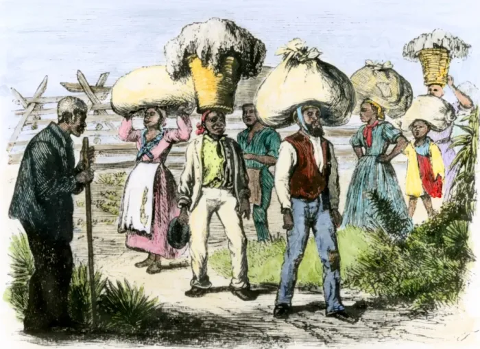 Framed Print : Slaves bringing in loads of cotton after a days picking