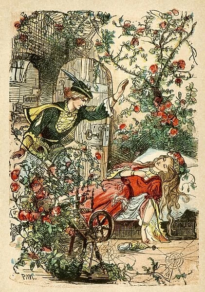 Sleeping Beauty, from a Berlin edition of Grimms Fairy Tales, 1865.