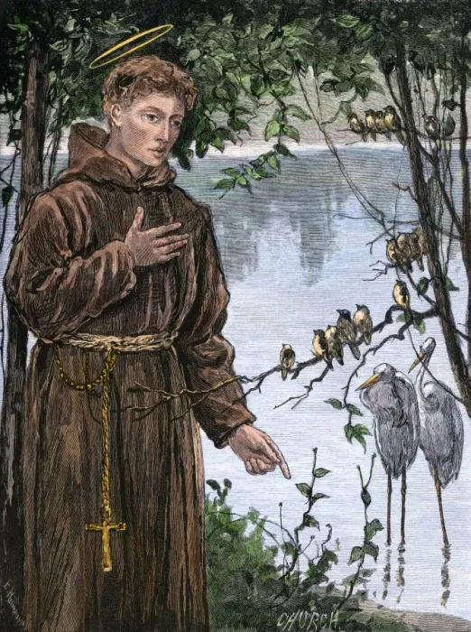 Framed Print : St Francis of Assisi