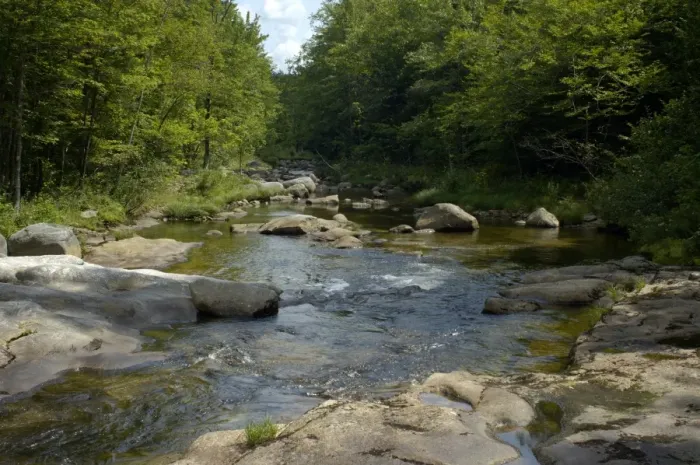 Framed Print : Stream in the White Mountains of New Hampshire and Maine Framed Print : Stream in the White Mountains of New Hampshire and Maine