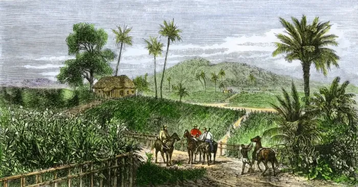 Framed Print : Tobacco plantation in Cuba, 1860s