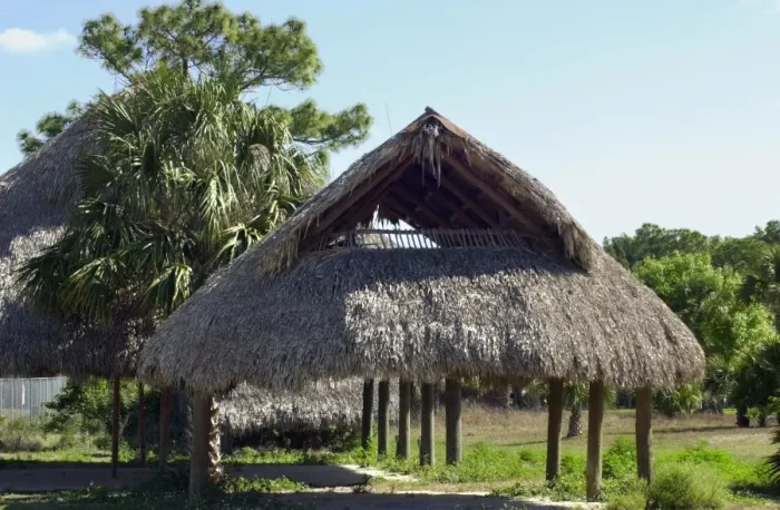 Framed Print : Traditional Seminole thatched shelter Framed Print : Traditional Seminole thatched shelter