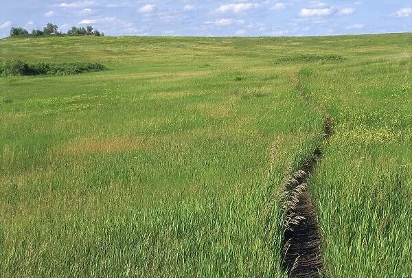 Trail in the grasslands of North Dakota