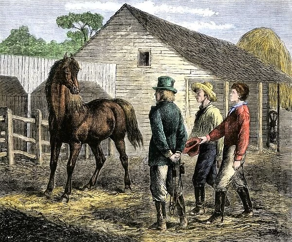 Training a young horse, 1800s