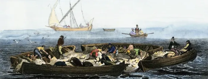 Framed Print : Tuna fishing using nets, 1800s Framed Print : Tuna fishing using nets, 1800s