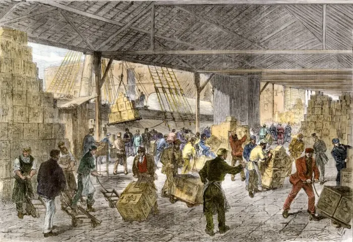 Framed Print : Unloading tea-ships in the British East India Companys docks Framed Print : Unloading tea-ships in the British East India Companys docks
