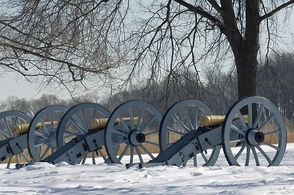 Valley Forge artillery