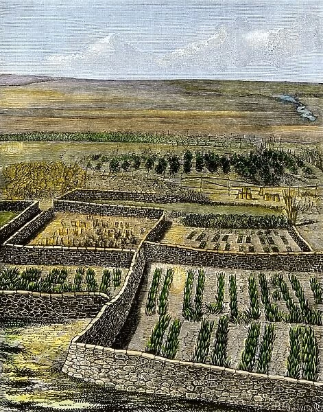 Zuni dry-farming agriculture