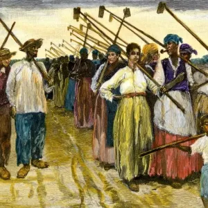 African-American slaves returning from the fields at twilight on a sugar African-American slaves returning from the fields at twilight on a sugar