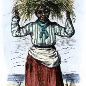 African-American woman carrying sheaves on a rice plantation African-American woman carrying sheaves on a rice plantation