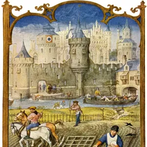 Agriculture in the Middle Ages