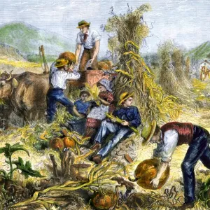 Farmer in Cornfield Praying for Rain Print, 1800s. Art Prints