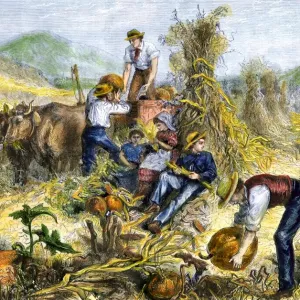 American Farm Family Gathering Pumpkins Print American Farm Family Gathering Pumpkins Print