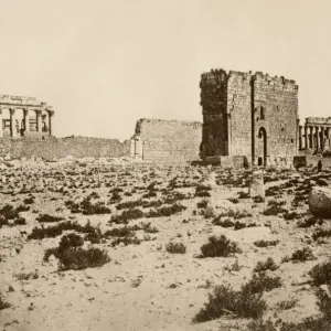 Print of Ancient Tadmor Ruins in Syria
