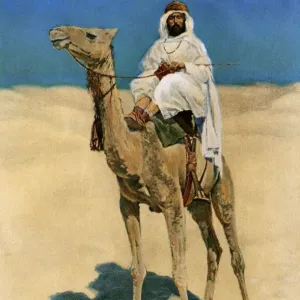 Arab on a camel