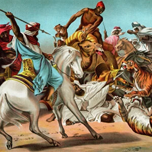Arabs fighting tigers in the desert