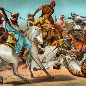 Arabs fighting tigers in the desert