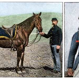 US Army survivors of Custers Last Stand - horse and scout, Curley