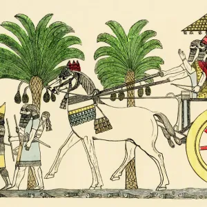 Assyrian king in his chariot