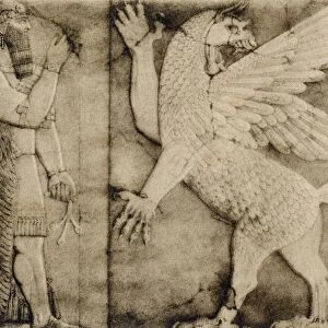 Assyrian winged lion bas-relief