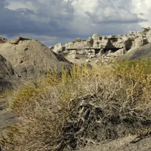 Bisti Badlands, New Mexico Bisti Badlands, New Mexico