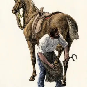 El herrero calzando un caballo. El herrero calzando un caballo.