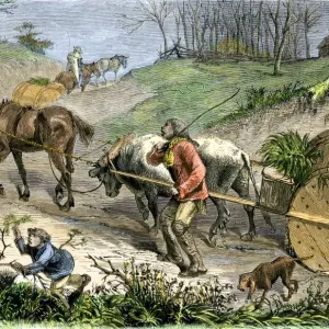 Bringing tobacco to market in early Virginia Bringing tobacco to market in early Virginia