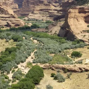 Canyon de Chelly, Arizona Canyon de Chelly, Arizona
