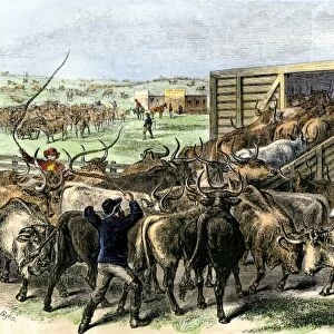 Cattle loaded on the railroad at Abilene, Kansas, 1870s
