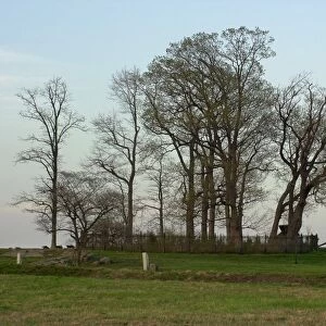 Cemetery Ridge, Gettysburg
