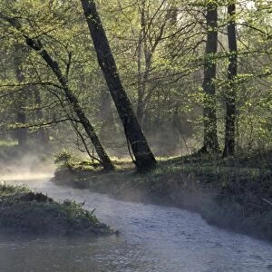 Colbert Creek in Alabama