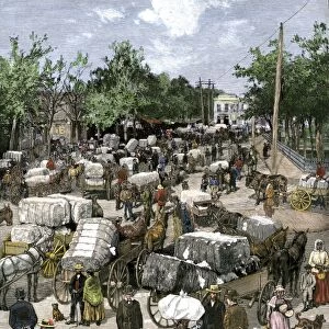 Cotton bales brought into a Georgia market town, 1880s
