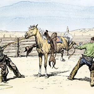 Cowboys saddling a bronco, 1800s