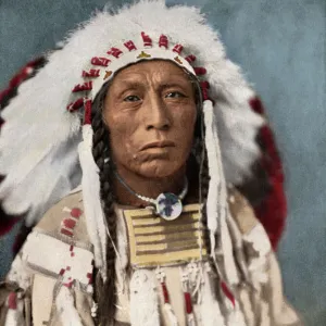 Crow chief