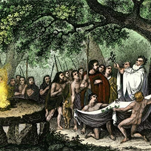 Druids collecting sacred mistletoe