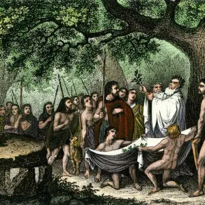 Druids collecting sacred mistletoe