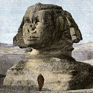 Egyptian Sphinx in the 19th-century
