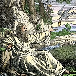 Elijah in the wilderness