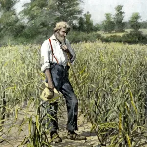 Print of a Farmer Praying for Rain in His Cornfield Print of a Farmer Praying for Rain in His Cornfield
