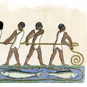 Fishing with nets in ancient Egypt