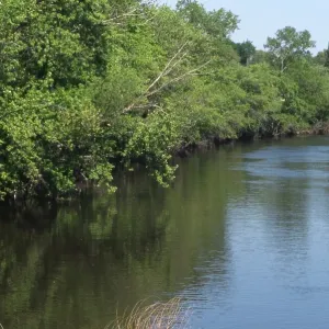 Fox River near Princeton, Wisconsin Fox River near Princeton, Wisconsin