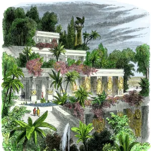 Hanging gardens of Babylon