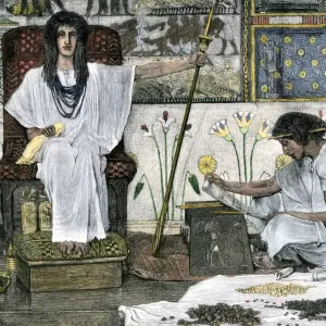 Joseph of Egypt, overseer of pharoahs granaries Joseph of Egypt, overseer of pharoahs granaries