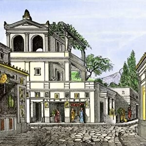 Life in Pompeii before the eruption of Vesuvius