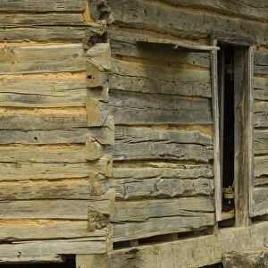 Log cabin, Shiloh, Tennessee