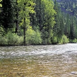 Lolo Creek in the Bitterroot Range, Montana